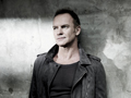 Sting / Fot. Fabrizio Ferri / Deutsche Grammophon / Universal Music