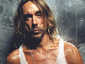 Iggy Pop / EMI Music LTD