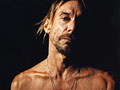 Iggy Pop / EMI Music LTD