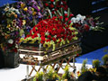 Trumna z cia�em Michaela / fot. Mario Anzuoni / Reuters
