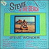 Stevie At The Beach