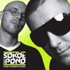 Sokół - W aucie