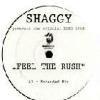 Shaggy Presents The Official Euro 2008 - Feel The Rush