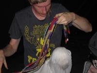 Lucky Dragons / fot. oficjalna strona zespo�u