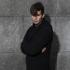Pantha du Prince