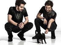 Cat Dealers