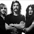 Rush
