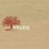 Iron & Wine