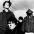 Stone Roses