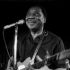 Muddy Waters