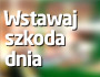 Wstawaj, szkoda dnia