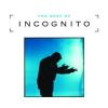 Best Of Incognito