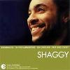 The Essential Shaggy