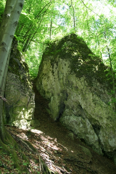 Jaskinia Łokietka