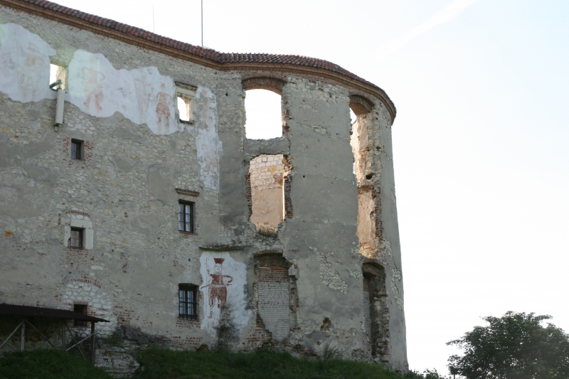 Ruiny zamku w Janowcu 